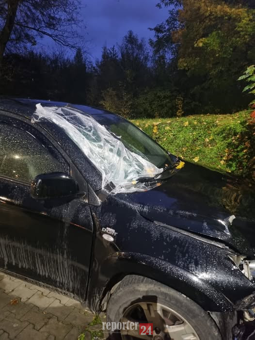 572961132_1250151900483709_5138416746757652982_n